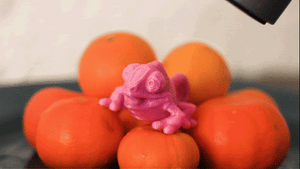 Grapefruit Printer Food (Chameleon)